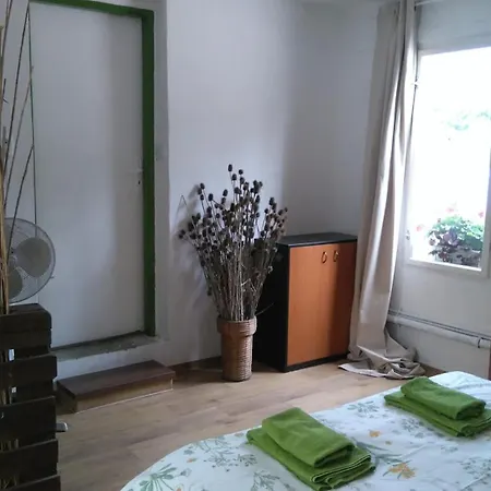 Πανσιόν Rastlinky.sk Greenhouse Guestrooms *