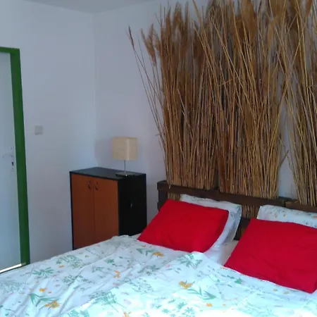 Rastlinky.sk Greenhouse Guestrooms ברטיסלאבה