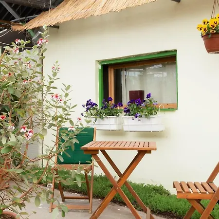 Rastlinky.sk Greenhouse Guestrooms בית הארחה ברטיסלאבה