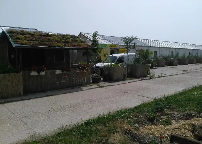 Guest house Rastlinky.sk Greenhouse Guestrooms Bratislava